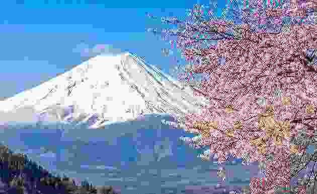 japan-mt-fuji-and-cherry-blossoms.jpg